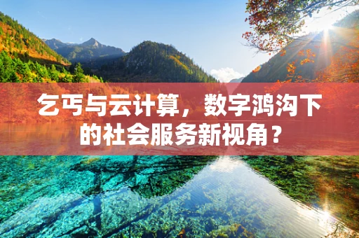 乞丐与云计算，数字鸿沟下的社会服务新视角？