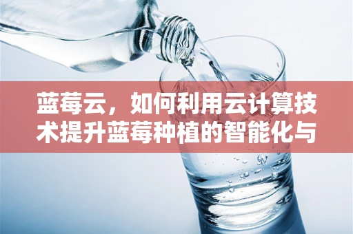 蓝莓云，如何利用云计算技术提升蓝莓种植的智能化与效率？
