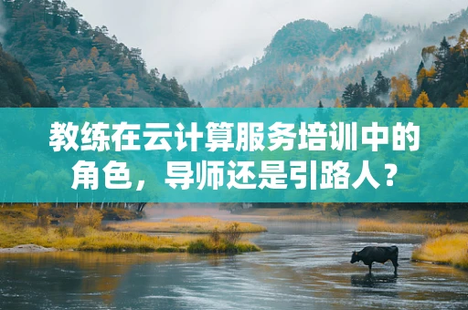 教练在云计算服务培训中的角色，导师还是引路人？