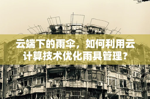 云端下的雨伞，如何利用云计算技术优化雨具管理？