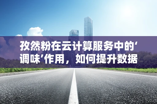 孜然粉在云计算服务中的‘调味’作用，如何提升数据处理的‘香辣味’？