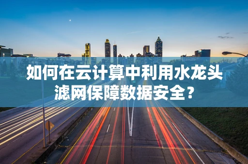 如何在云计算中利用水龙头滤网保障数据安全？