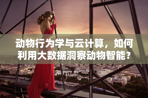 动物行为学与云计算，如何利用大数据洞察动物智能？
