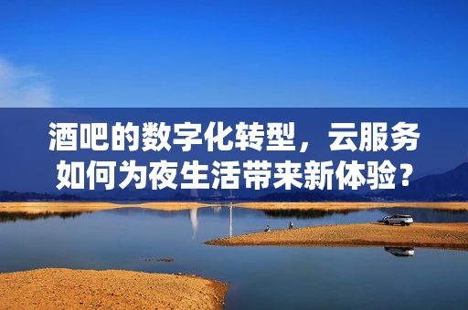酒吧的数字化转型，云服务如何为夜生活带来新体验？