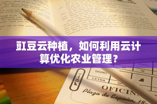 豇豆云种植，如何利用云计算优化农业管理？