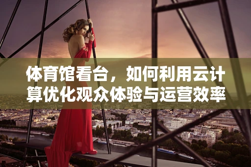 体育馆看台，如何利用云计算优化观众体验与运营效率？
