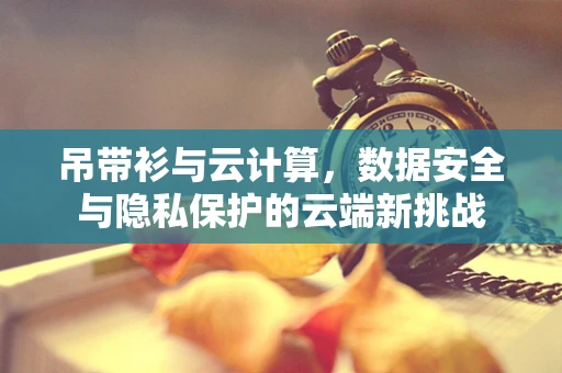 吊带衫与云计算，数据安全与隐私保护的云端新挑战