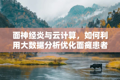 面神经炎与云计算，如何利用大数据分析优化面瘫患者治疗路径？