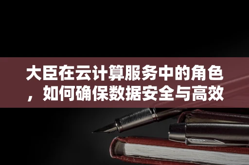 大臣在云计算服务中的角色，如何确保数据安全与高效管理？