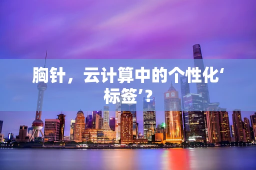 胸针，云计算中的个性化‘标签’？