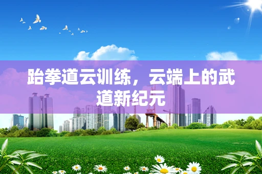 跆拳道云训练，云端上的武道新纪元
