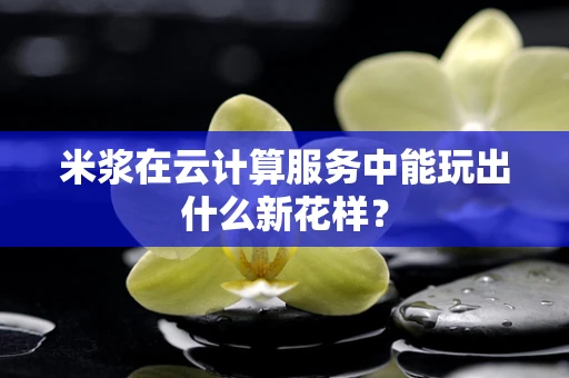米浆在云计算服务中能玩出什么新花样？
