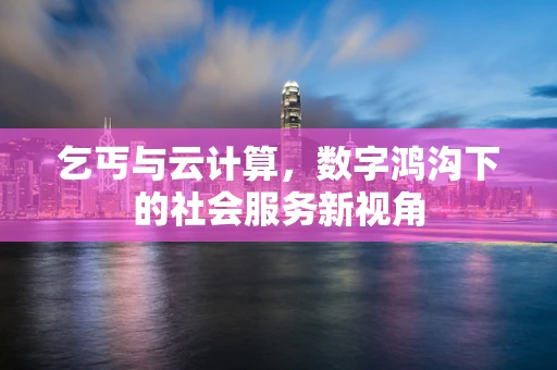 乞丐与云计算，数字鸿沟下的社会服务新视角