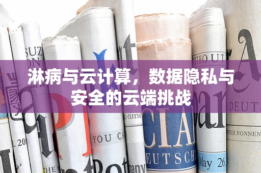 淋病与云计算，数据隐私与安全的云端挑战
