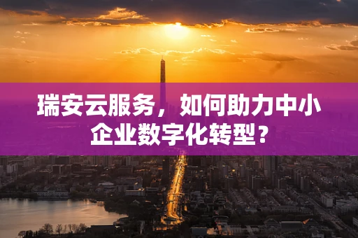 瑞安云服务，如何助力中小企业数字化转型？