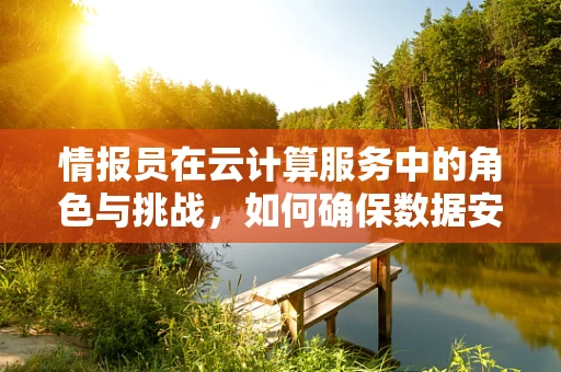 情报员在云计算服务中的角色与挑战，如何确保数据安全与高效分析？