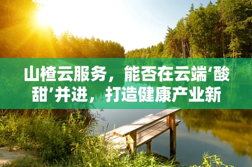 山楂云服务，能否在云端‘酸甜’并进，打造健康产业新生态？