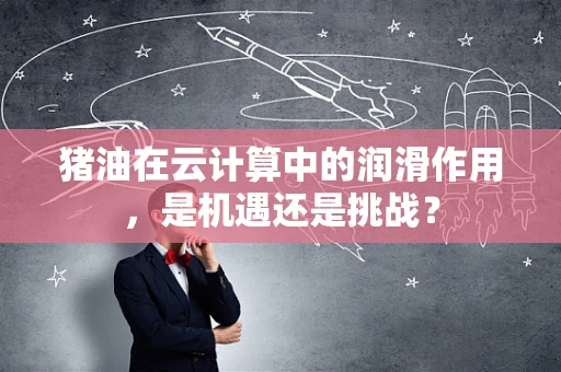 猪油在云计算中的润滑作用，是机遇还是挑战？