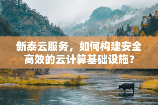 新泰云服务，如何构建安全高效的云计算基础设施？