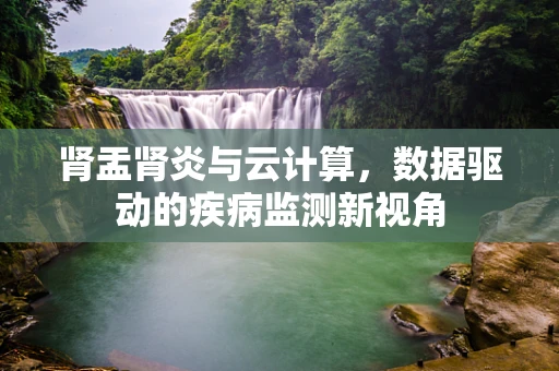 肾盂肾炎与云计算，数据驱动的疾病监测新视角