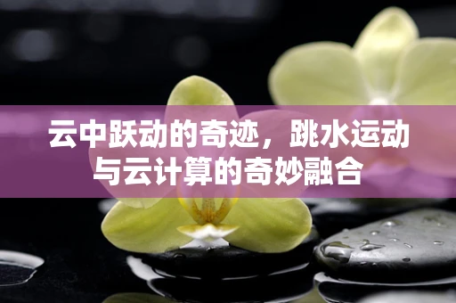 云中跃动的奇迹，跳水运动与云计算的奇妙融合