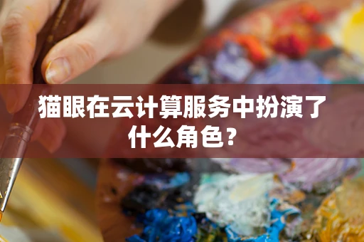猫眼在云计算服务中扮演了什么角色？