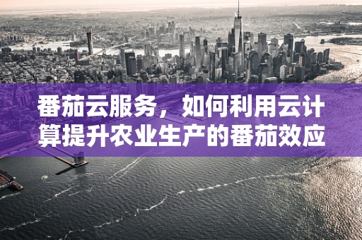 番茄云服务，如何利用云计算提升农业生产的番茄效应？