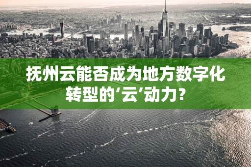 抚州云能否成为地方数字化转型的‘云’动力？