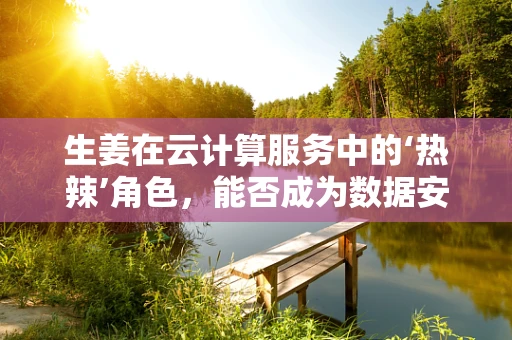 生姜在云计算服务中的‘热辣’角色，能否成为数据安全的‘调味品’？
