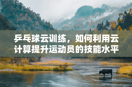 乒乓球云训练，如何利用云计算提升运动员的技能水平？