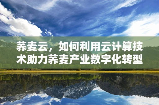 荞麦云，如何利用云计算技术助力荞麦产业数字化转型？