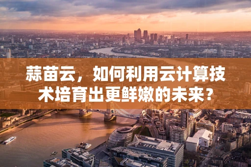 蒜苗云，如何利用云计算技术培育出更鲜嫩的未来？