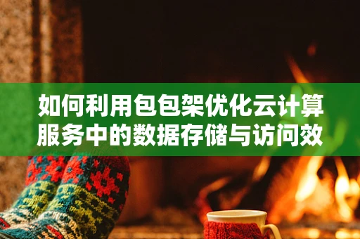 如何利用包包架优化云计算服务中的数据存储与访问效率？