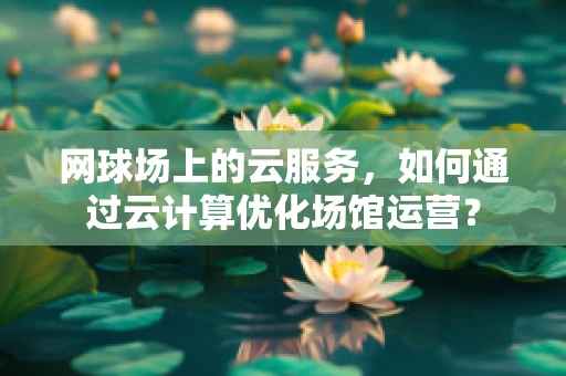 网球场上的云服务，如何通过云计算优化场馆运营？