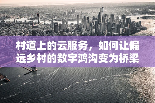 村道上的云服务，如何让偏远乡村的数字鸿沟变为桥梁？