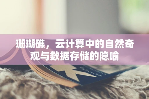 珊瑚礁，云计算中的自然奇观与数据存储的隐喻