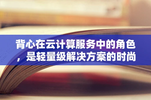 背心在云计算服务中的角色，是轻量级解决方案的时尚选择吗？