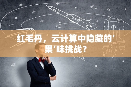 红毛丹，云计算中隐藏的‘果’味挑战？