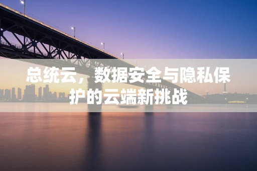 总统云，数据安全与隐私保护的云端新挑战